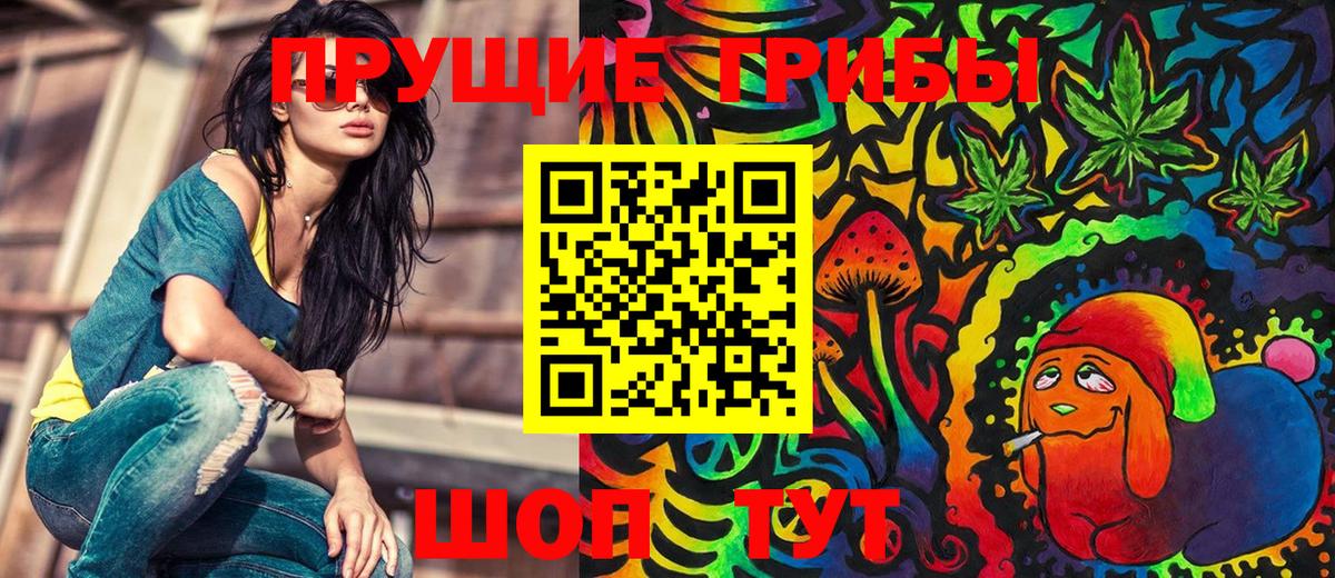 Псилоцибиновые грибы Magic Shrooms  закладка  Ефремов  Галлюциногенные грибы прущие грибы  Вход с VPN 