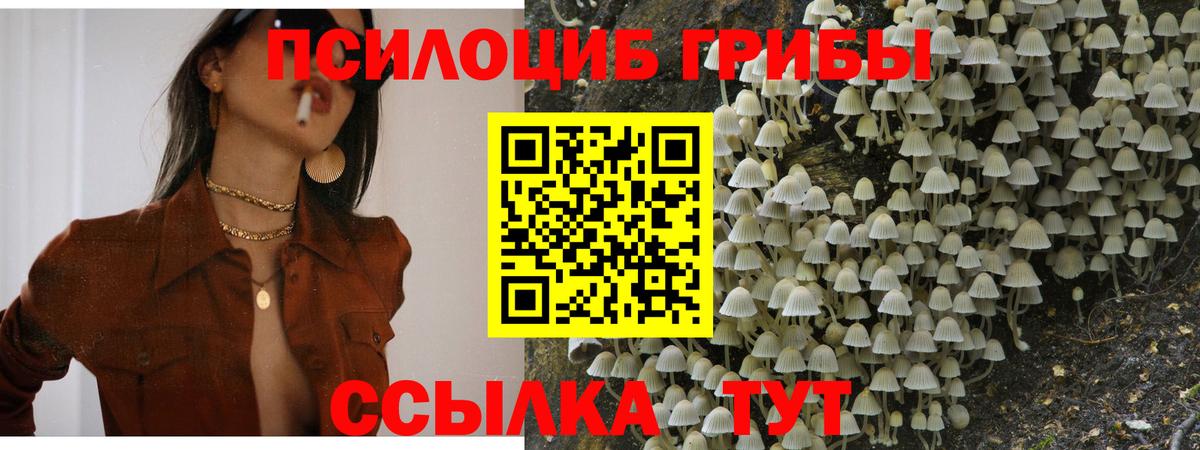 Псилоцибиновые грибы MAGIC MUSHROOMS Ефремов
